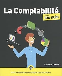 La Comptabilité pour les Nuls, grand format, 4e éd.