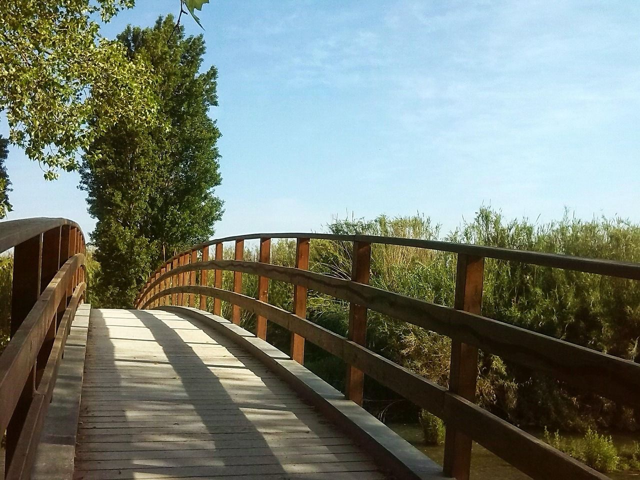 contact-bg bridge, tree, path, entrepreneurship, landscape, nature, park, spring, begin, entrepreneurship, entrepreneurship, entrepreneurship, entrepreneurship, entrepreneurship